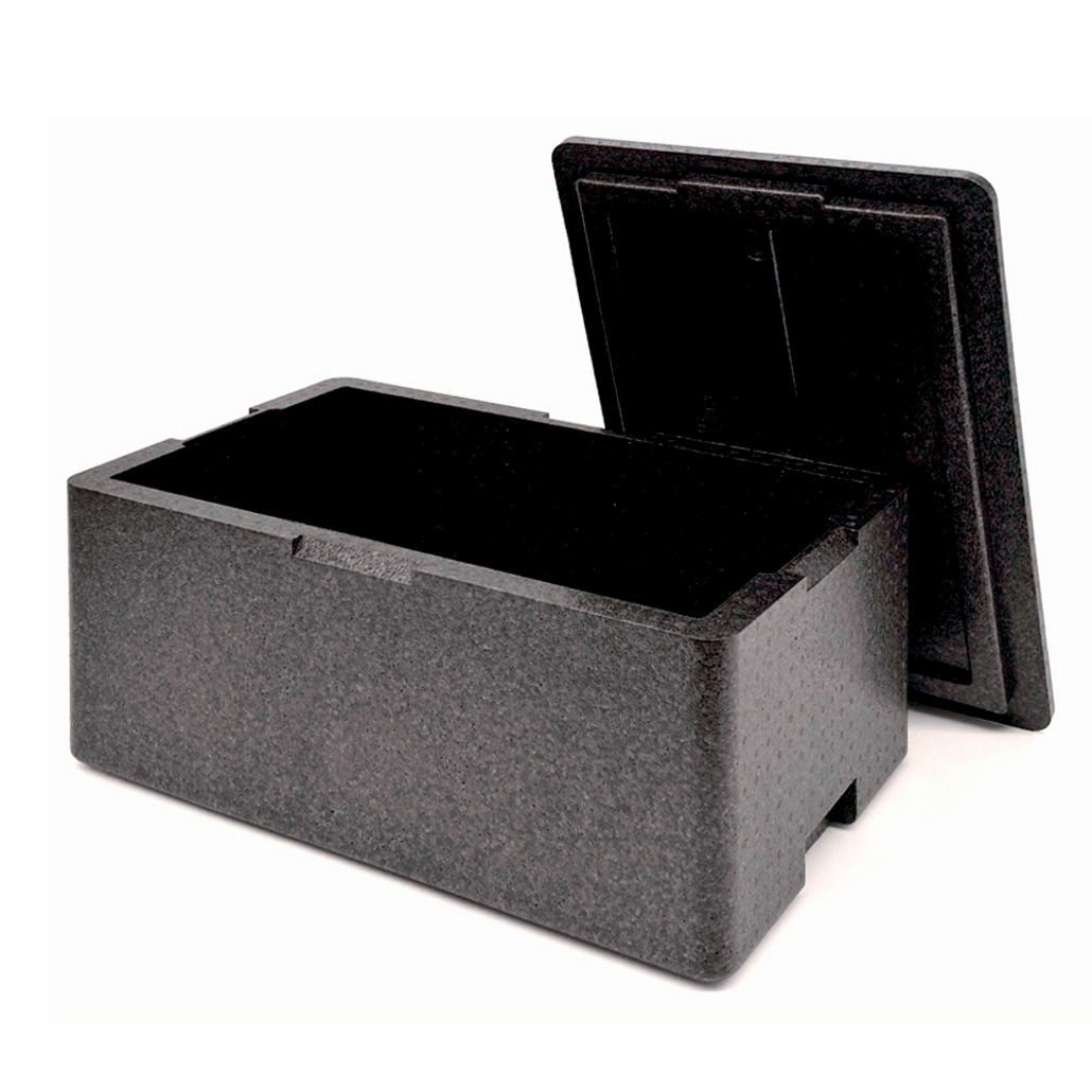 Contenitore isotermico Gastronorm — 1