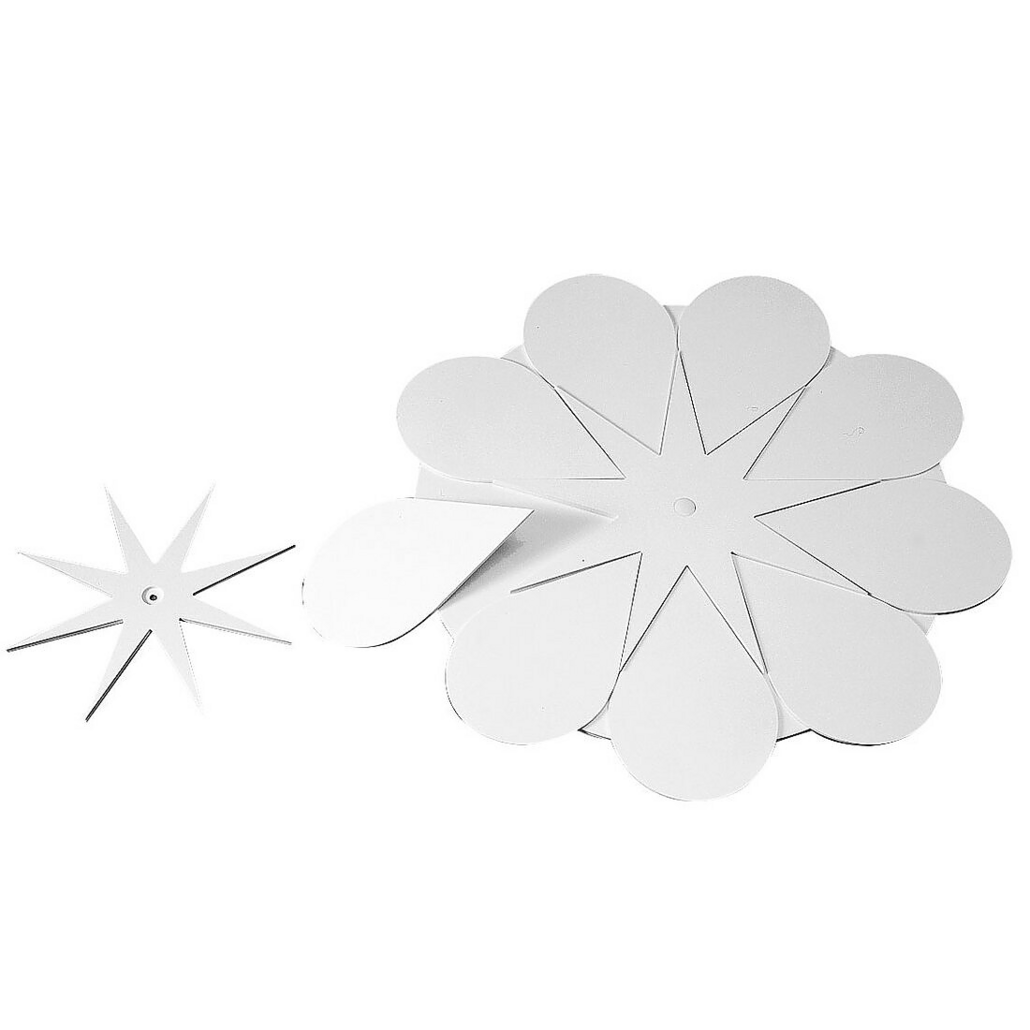 Petite marguerite — 1