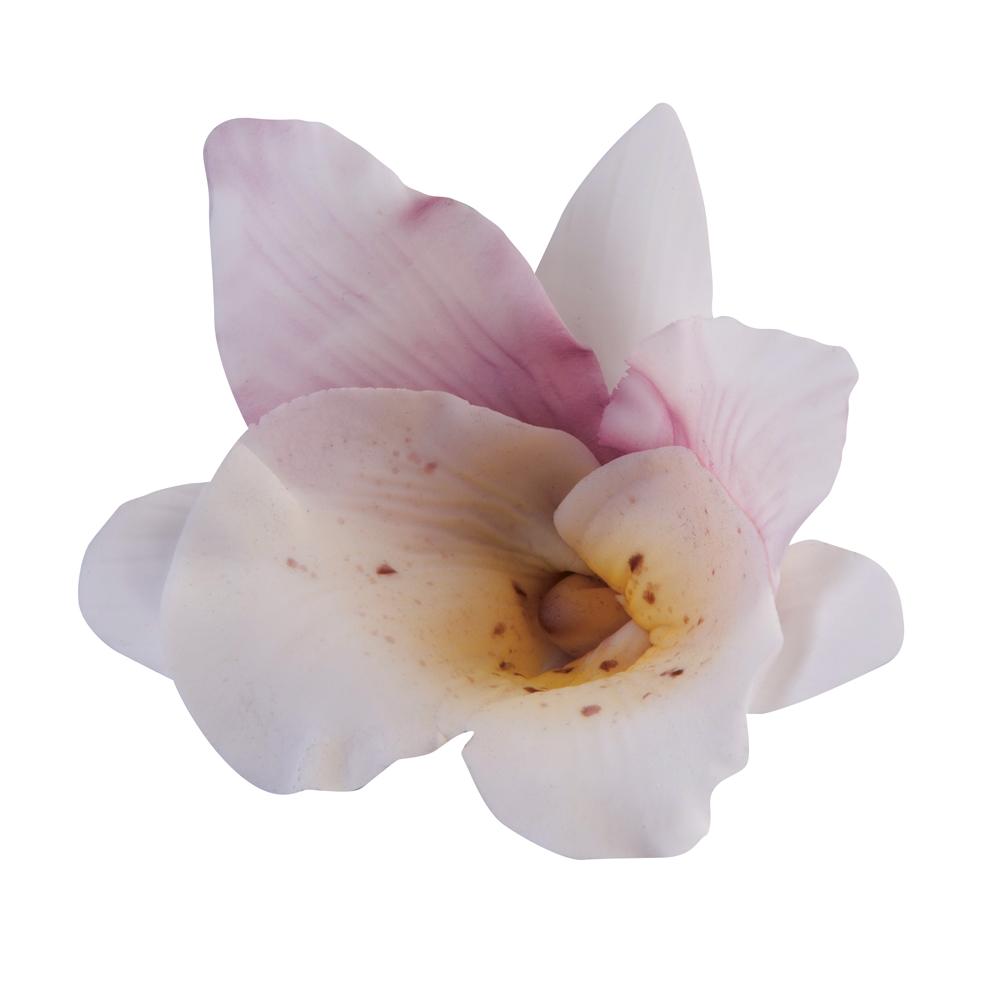 Orquídea — 1