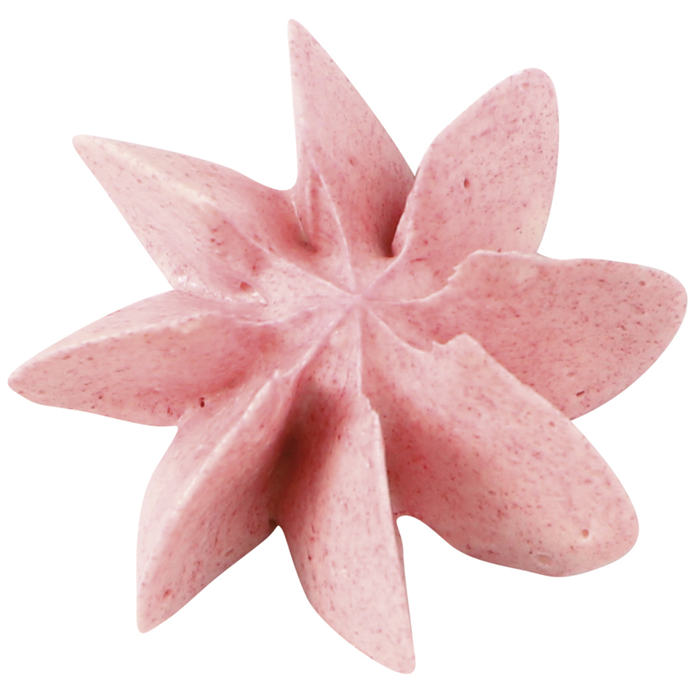 Tülle für Spritzbeutel – Achtzackige Blume — 1