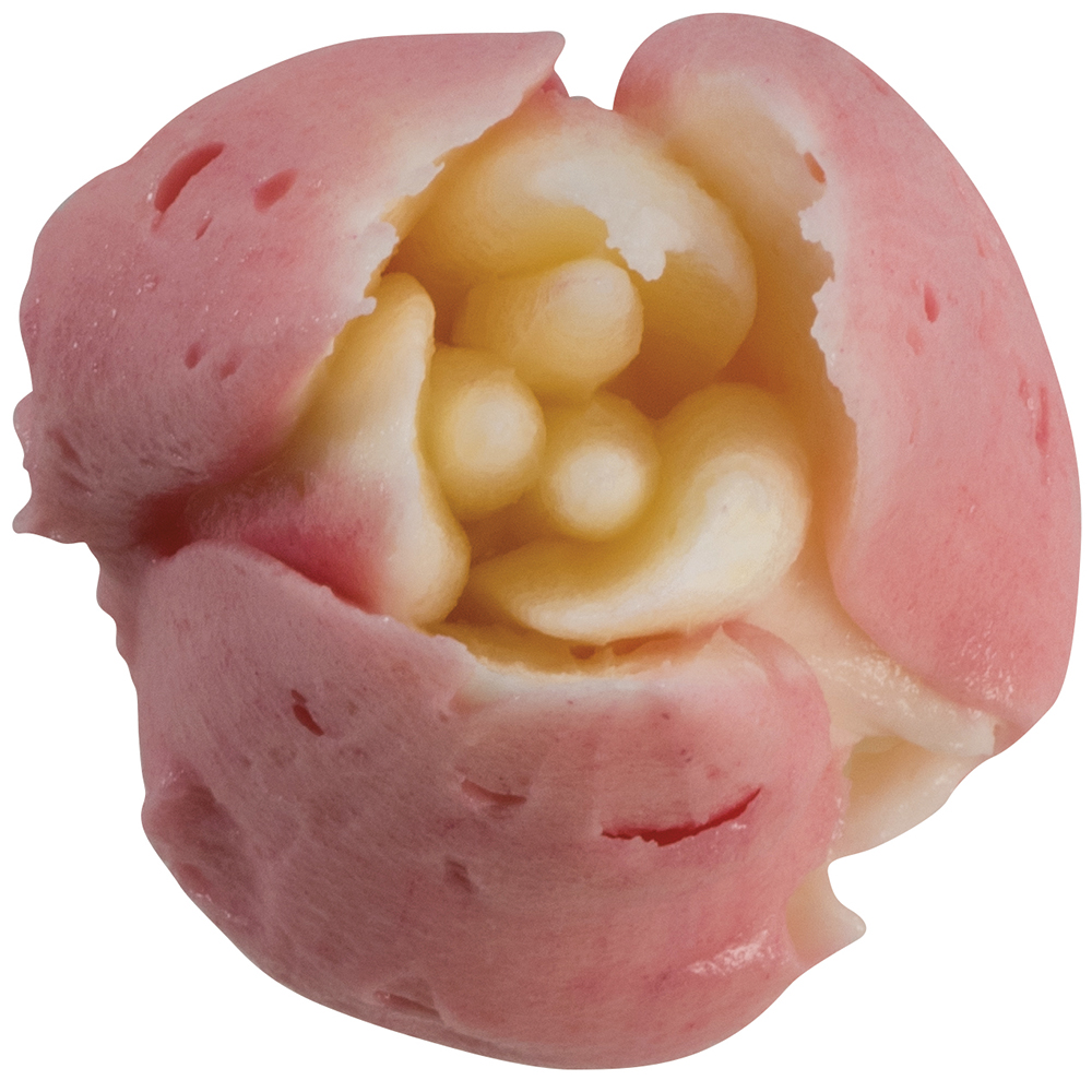Bocchetta per sac à poche – BX0011 — 2