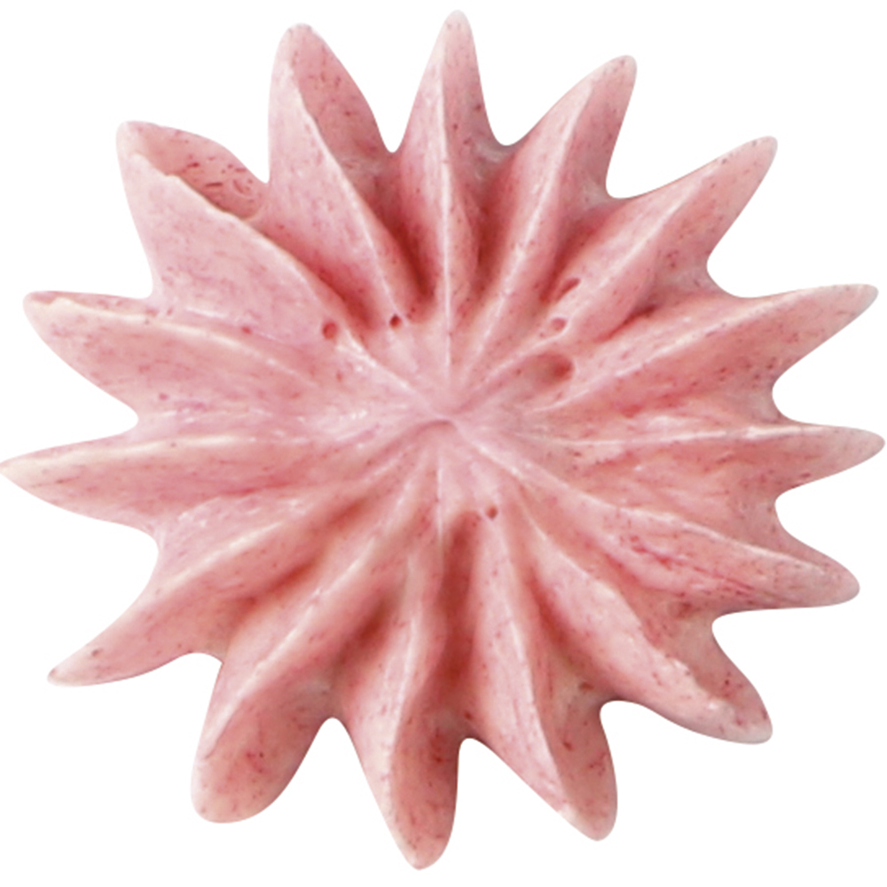 Bocchetta per sac à poche – Fiore multipunta — 2
