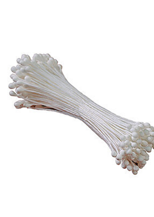 Pistilli bianchi