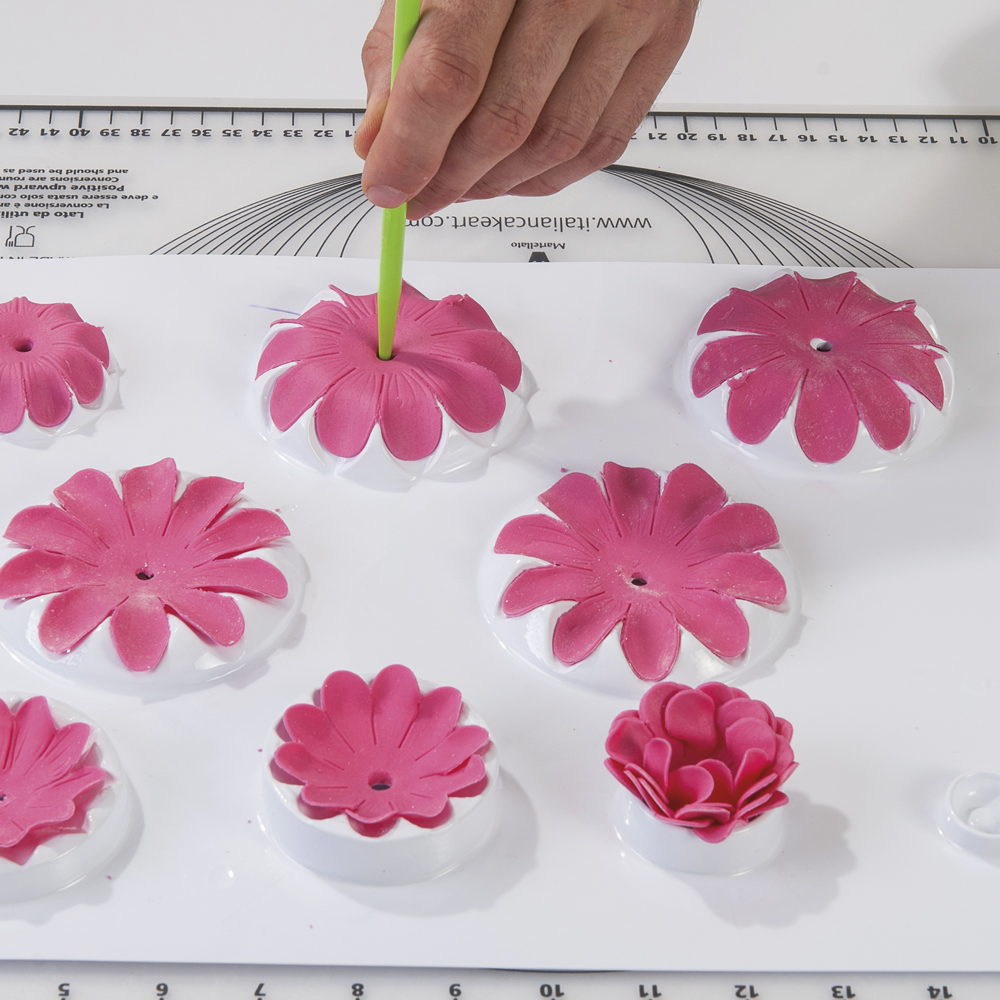 Dahlia countermould — 1