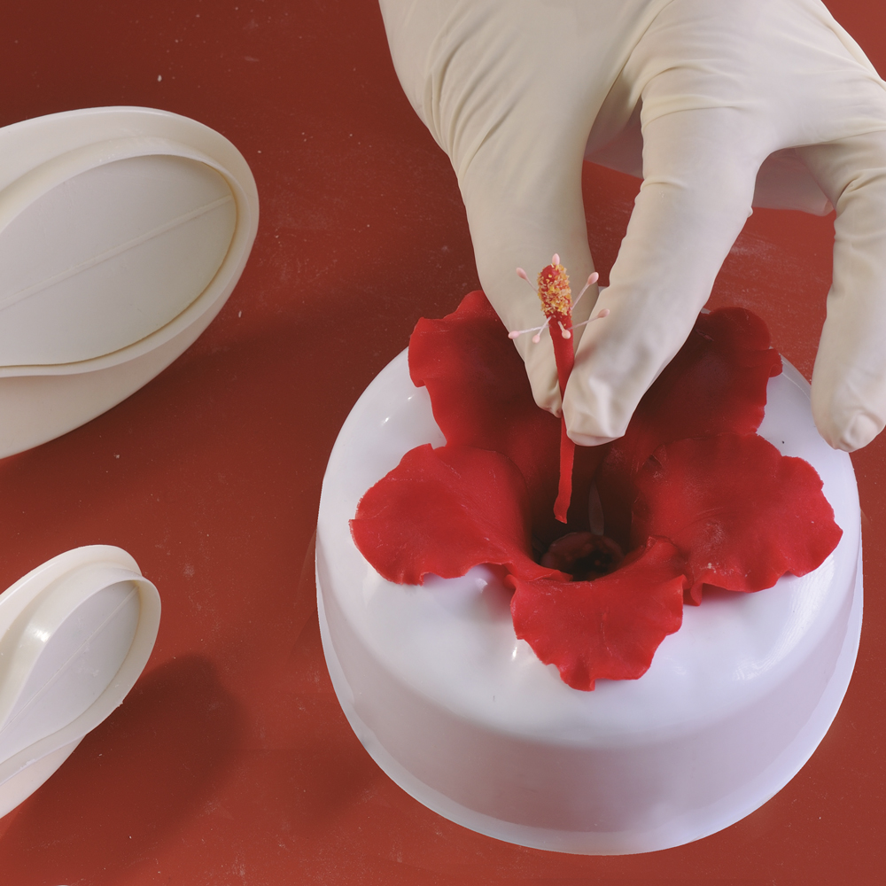 Hibiscus — 1