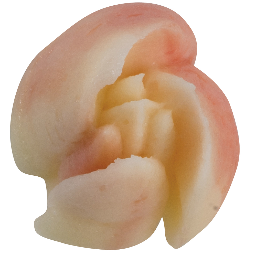 Bocchetta per sac à poche – BX0060 — 2