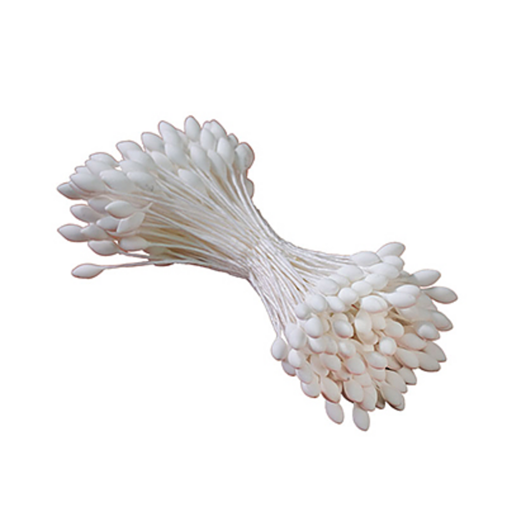 Pistilli bianchi — 1