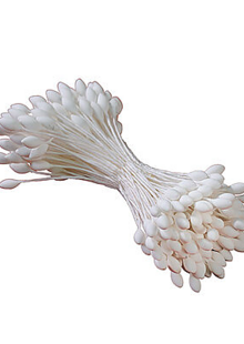 Pistilli bianchi