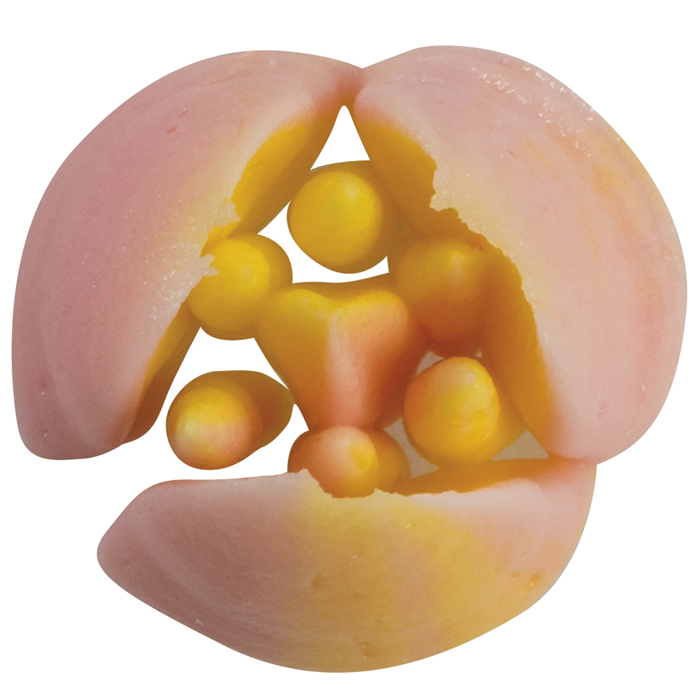 Bocchetta per sac à poche – BX0008 — 2