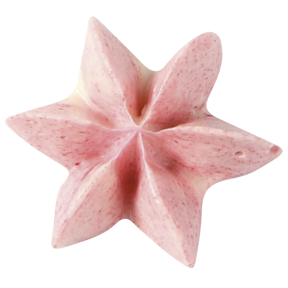 Bocchetta per sac à poche – Fiore a sei punte — 2