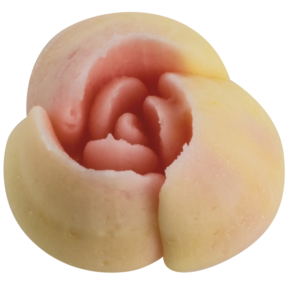 Bocchetta per sac à poche – BX0055 — 2
