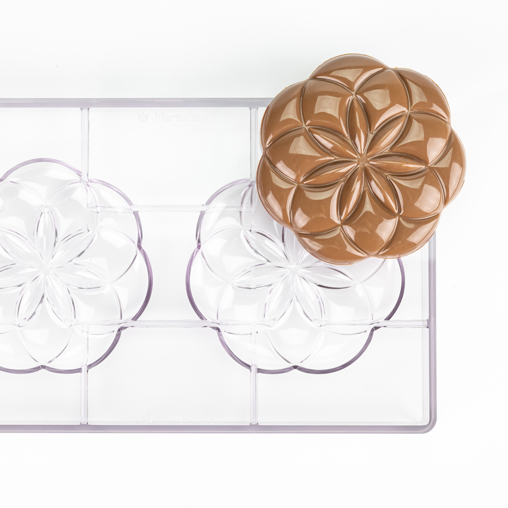 Life Flower — 2