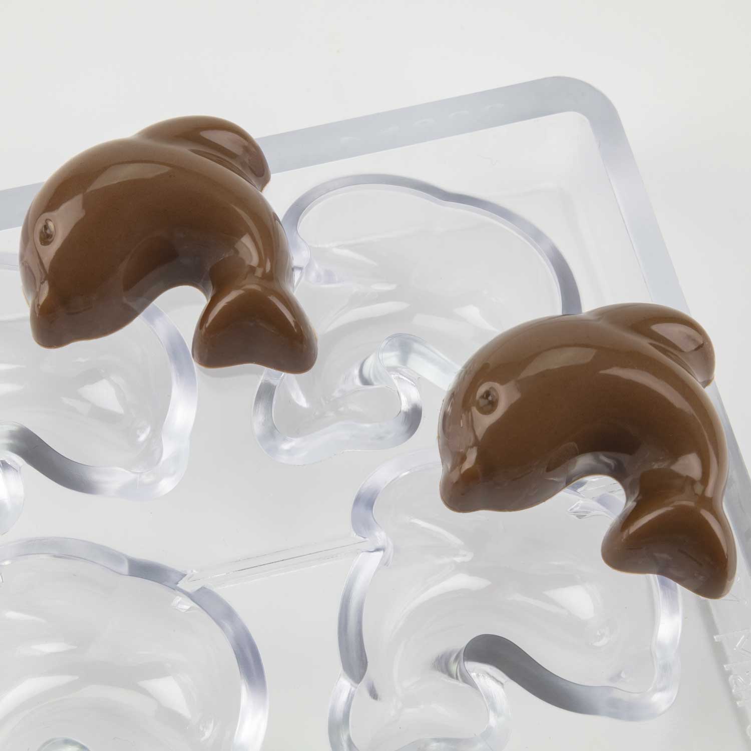 Flipper — 3