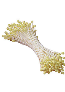 Pistilli Gialli