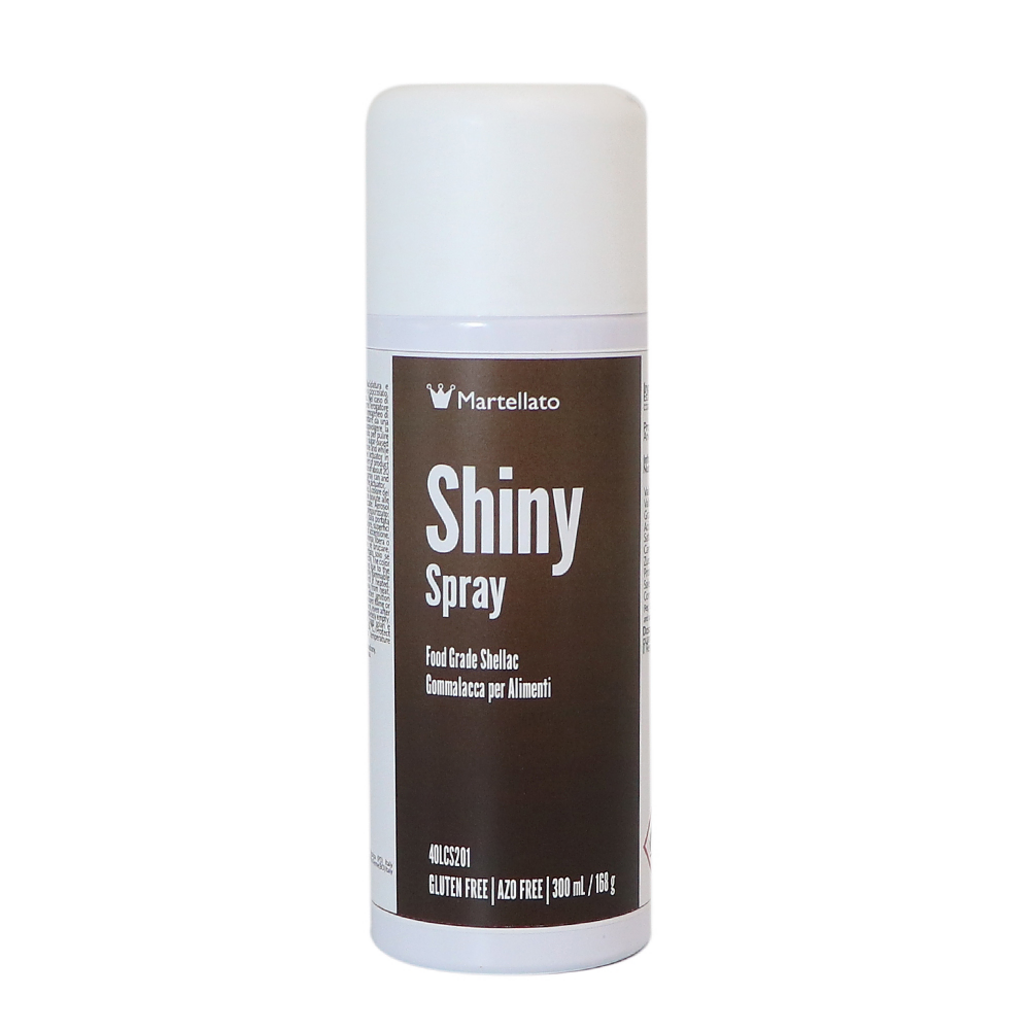 Spray brillant – Spray gomme-laque 300 ml — 1
