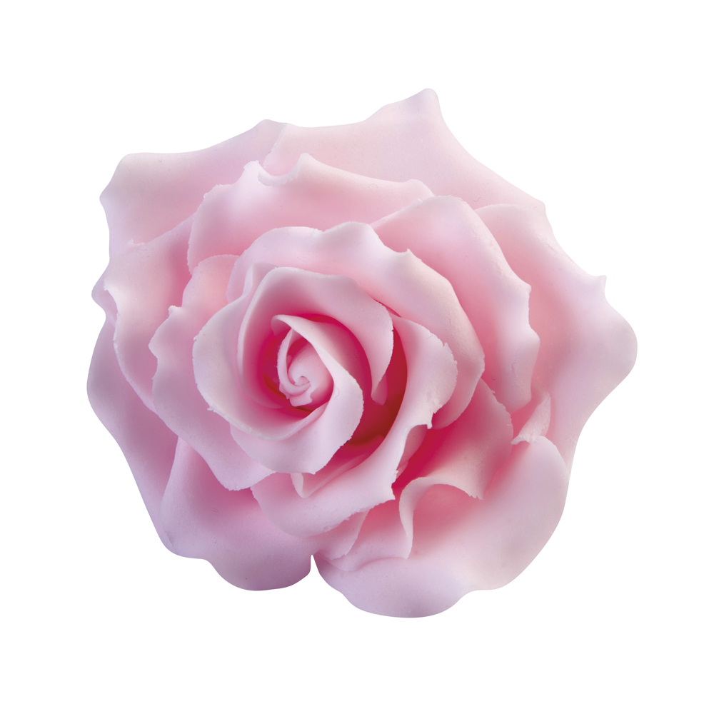Rose — 2