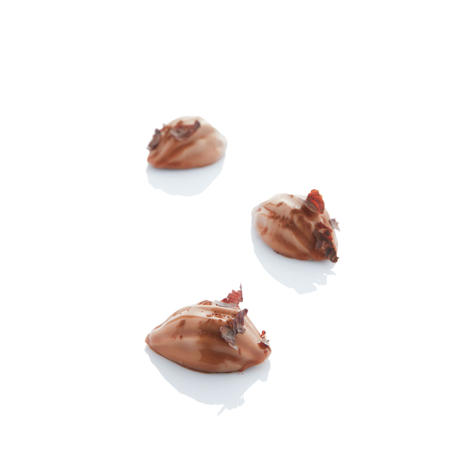 Mini Cocoa — 3