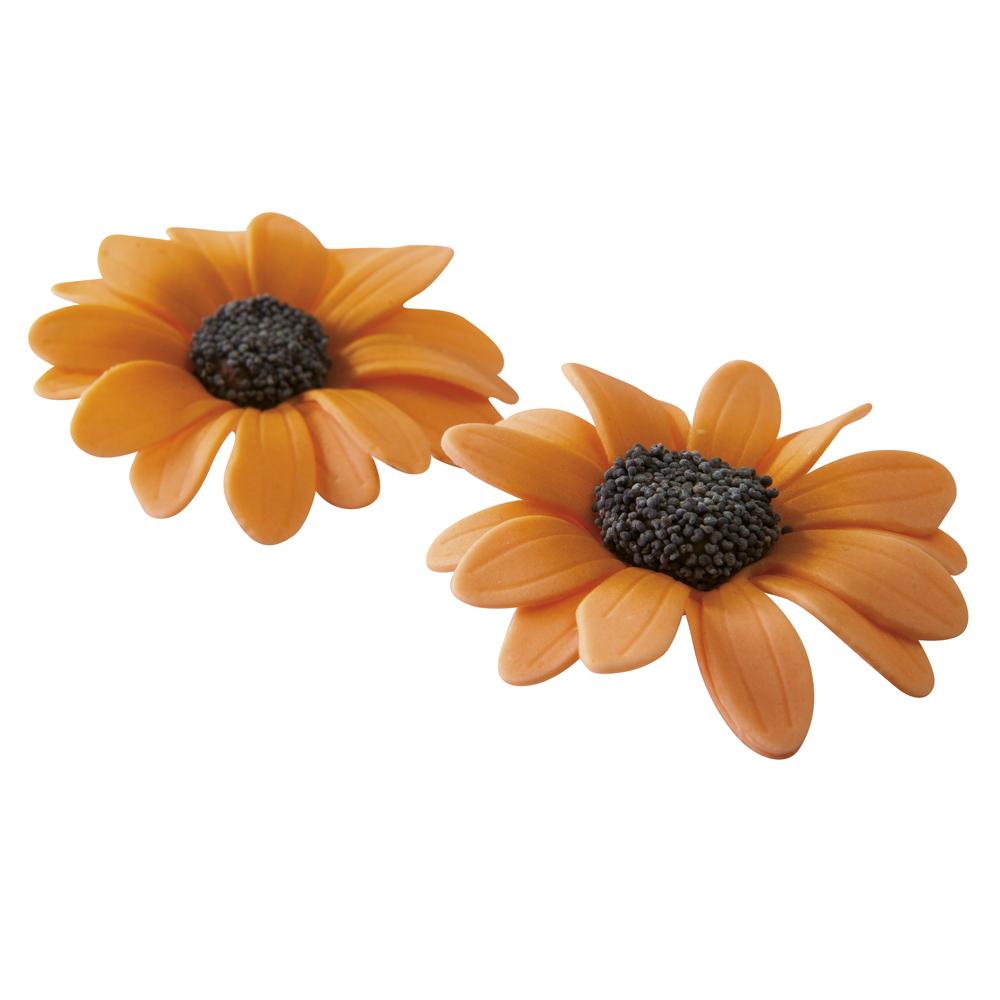 Daisies — 1