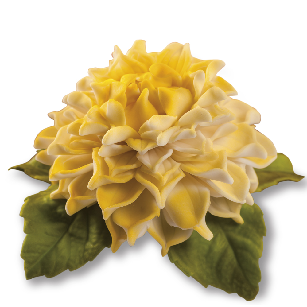 Dahlia — 1